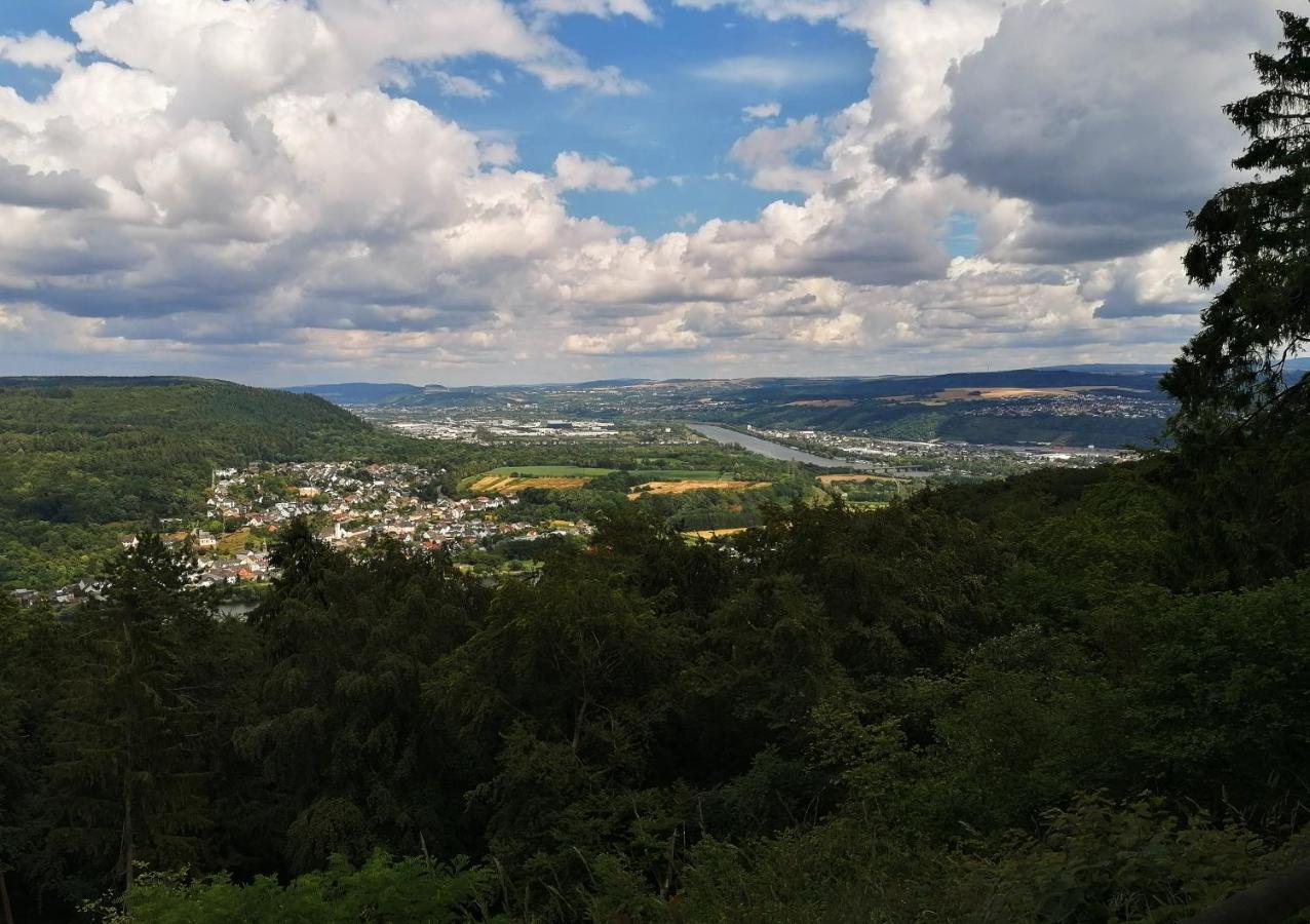 Ferienwohnung Grete Трир Экстерьер фото